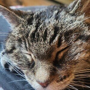 Meet your Posher, Mj